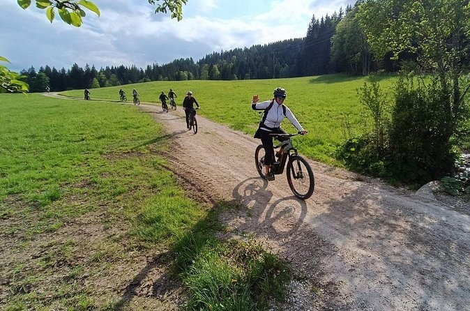 Guided e-bike tour of the alpine pastures in the Salzkammergut